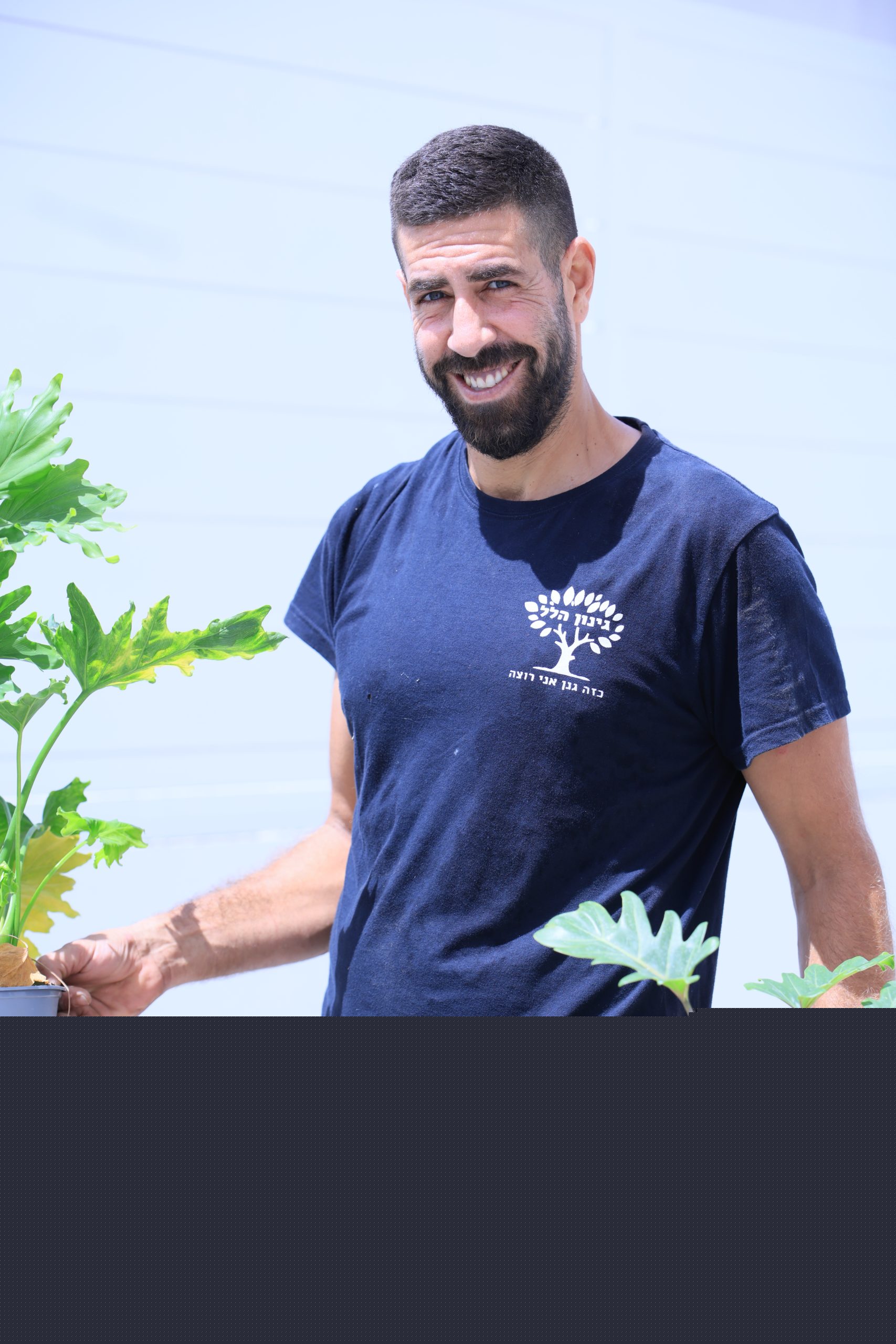 תכנון צמחייה בגינה
